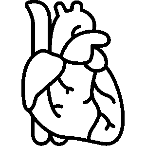 cardiovascular
